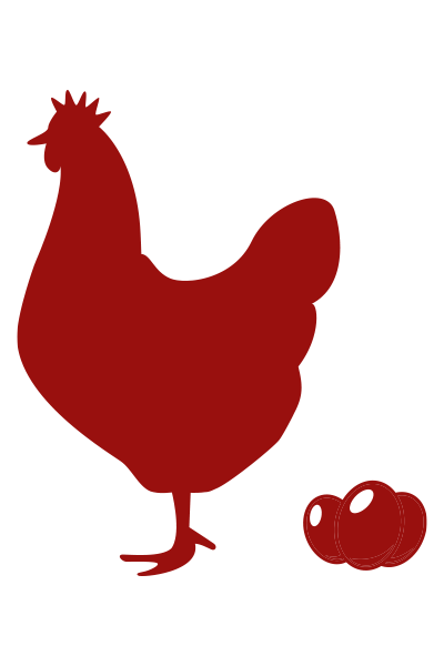 eier