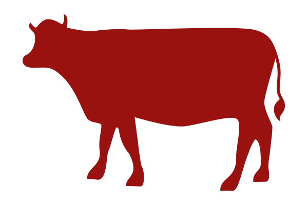 fleisch
